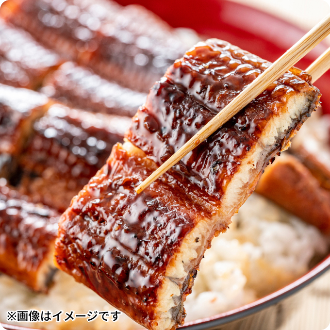 うなぎ蒲焼きセット