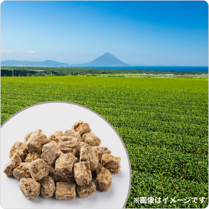 鹿児島のお茶と黒糖を使ったお菓子詰合せ