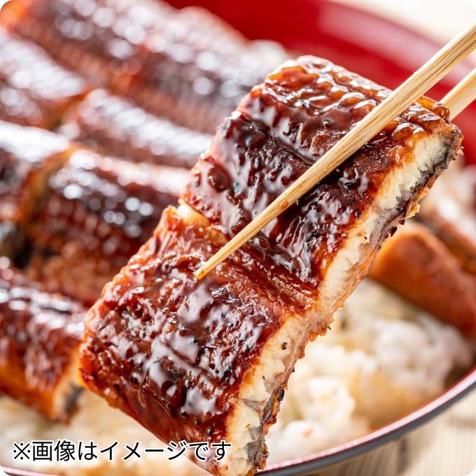 うなぎ蒲焼きセット